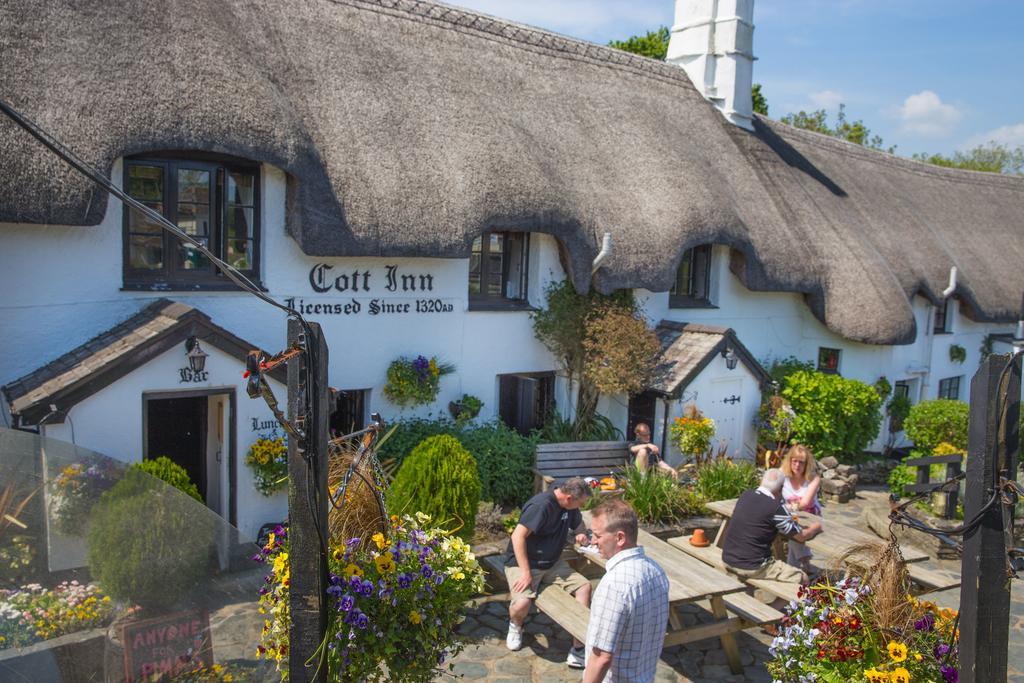 The Cott 2*